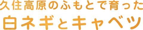 久住高原のふもとで育った白ネギとキャベツ